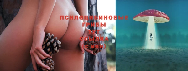 jwh Сосновка