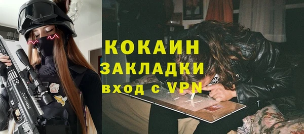 ГАЛЛЮЦИНОГЕННЫЕ ГРИБЫ Сосновый Бор